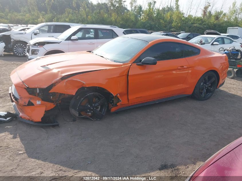 2021 Ford Mustang VIN: 1FA6P8TH7M5100519 Lot: 12072042