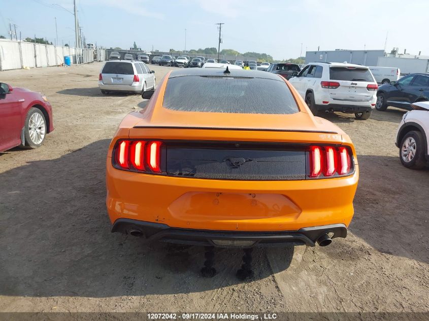 2021 Ford Mustang VIN: 1FA6P8TH7M5100519 Lot: 12072042