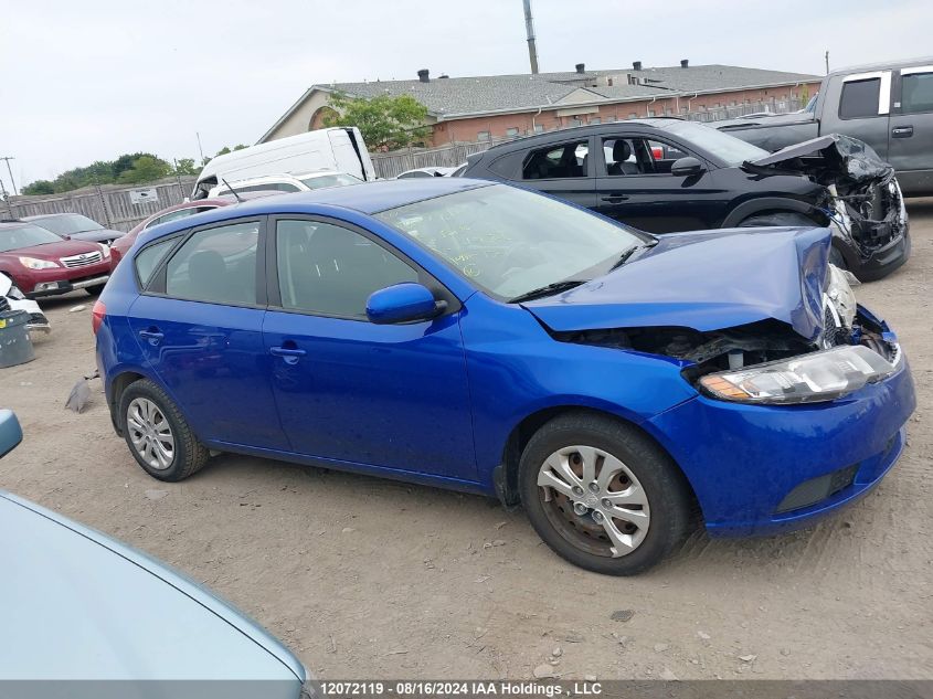 2013 Kia Forte 5-Door VIN: KNAFT5A22D5649528 Lot: 12072119
