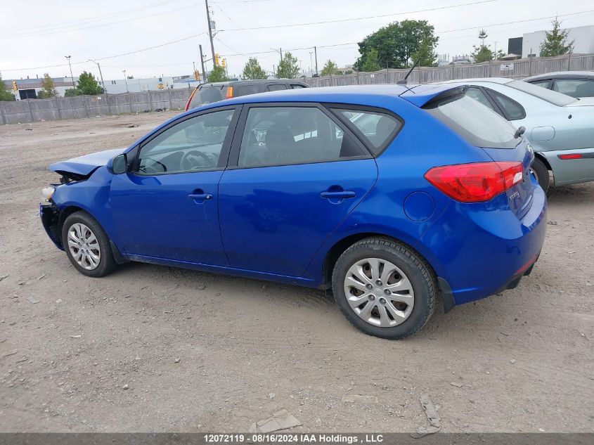 2013 Kia Forte 5-Door VIN: KNAFT5A22D5649528 Lot: 12072119