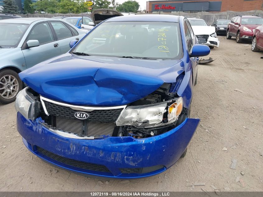 2013 Kia Forte 5-Door VIN: KNAFT5A22D5649528 Lot: 12072119