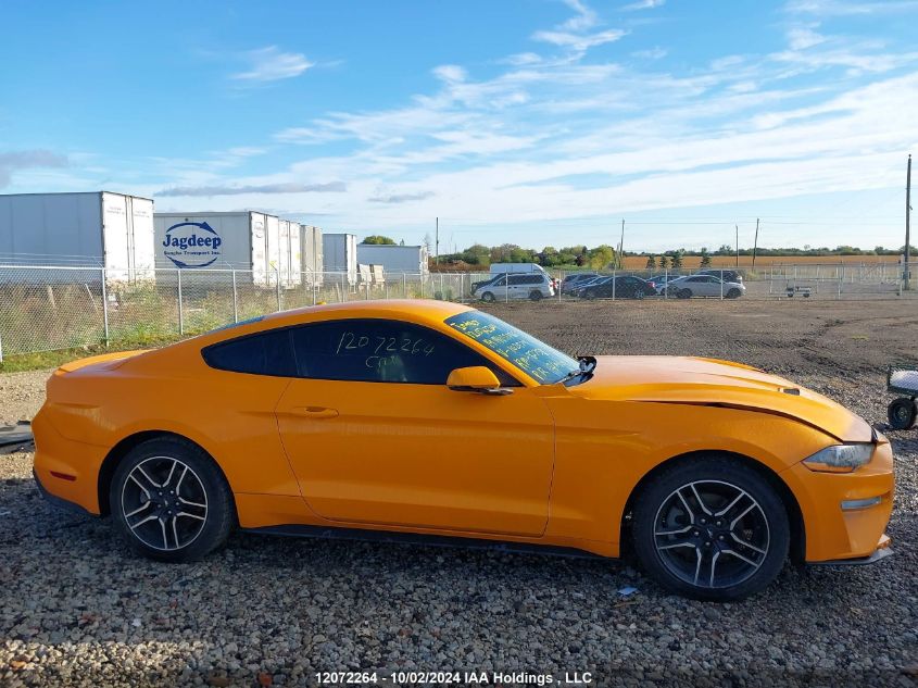 2019 Ford Mustang VIN: 1FA6P8TH7K5102574 Lot: 12072264