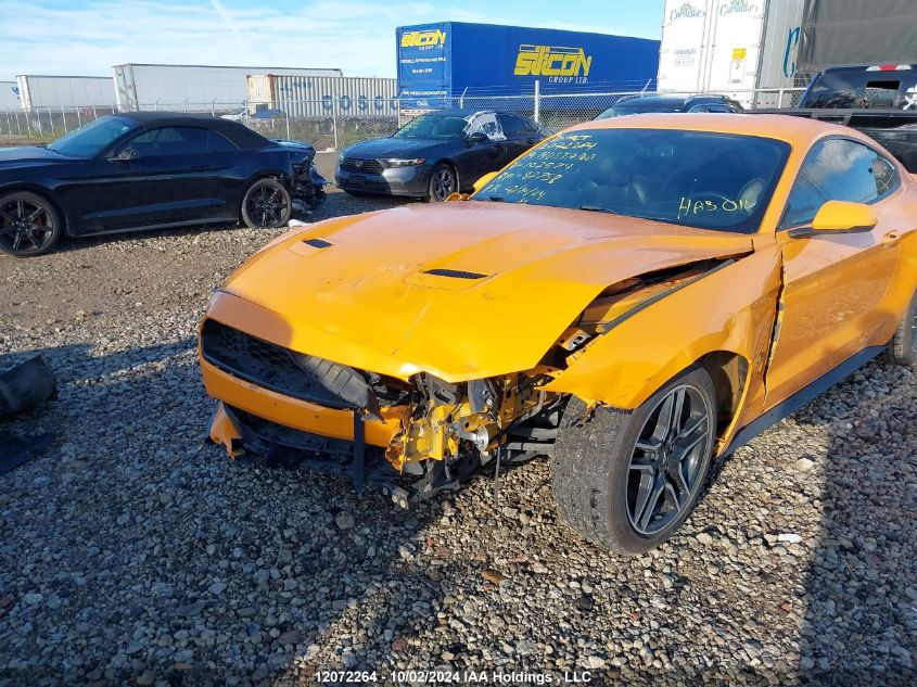 2019 Ford Mustang VIN: 1FA6P8TH7K5102574 Lot: 12072264