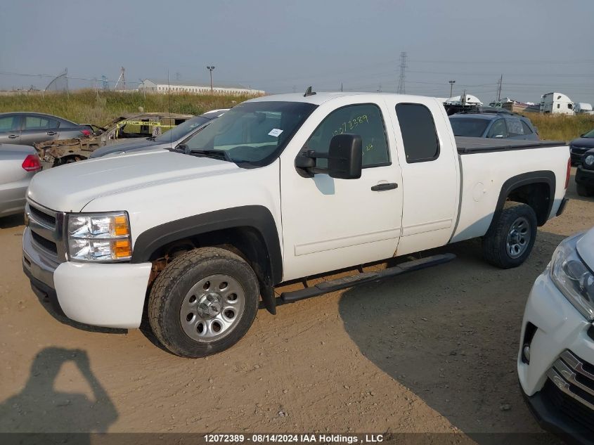 2009 Chevrolet Silverado K1500 VIN: 1GCEK19039Z209931 Lot: 12072389