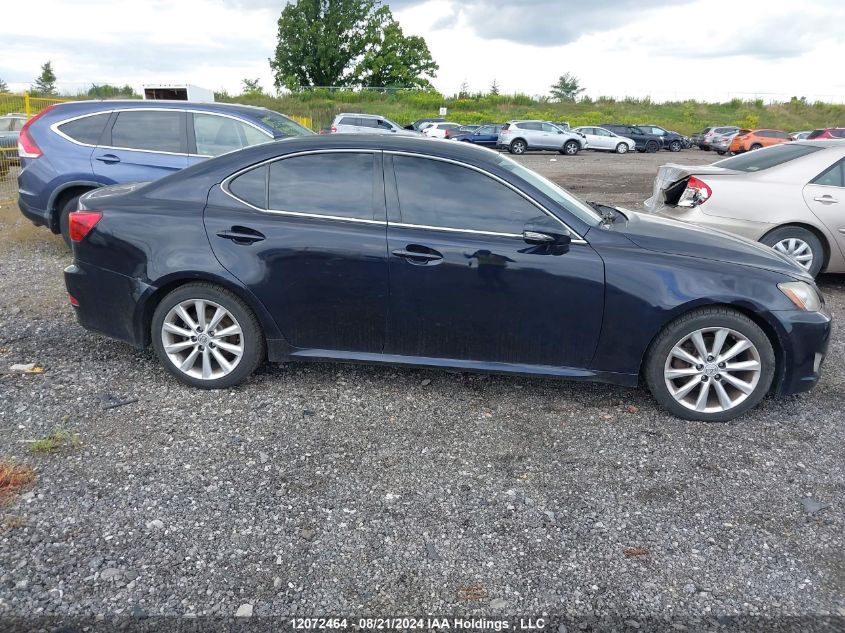 2009 Lexus Is 250 VIN: JTHBK262595090607 Lot: 12072464