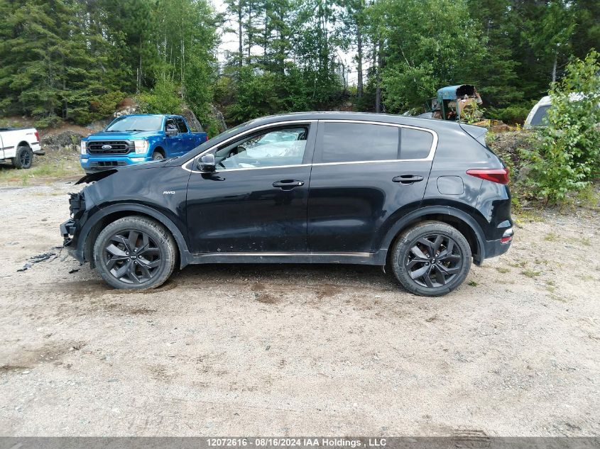 2021 Kia Sportage VIN: KNDPMCAC7M7879958 Lot: 12072616