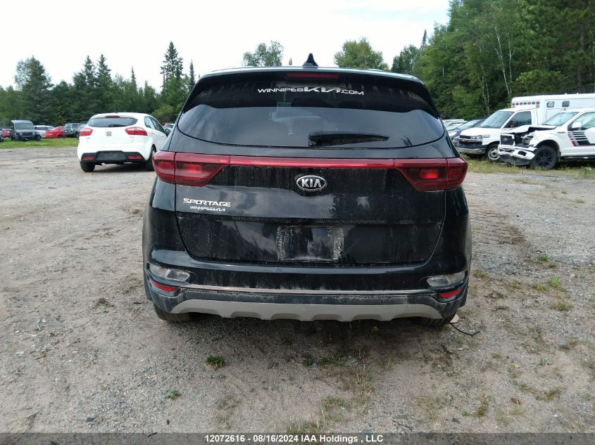 2021 Kia Sportage VIN: KNDPMCAC7M7879958 Lot: 12072616