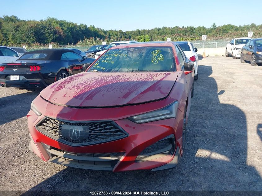 2021 Acura Tlx VIN: 19UUB6F57MA800054 Lot: 12072733