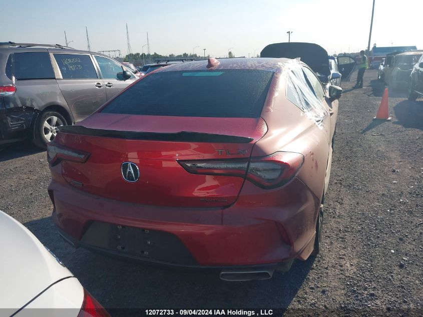 2021 Acura Tlx VIN: 19UUB6F57MA800054 Lot: 12072733