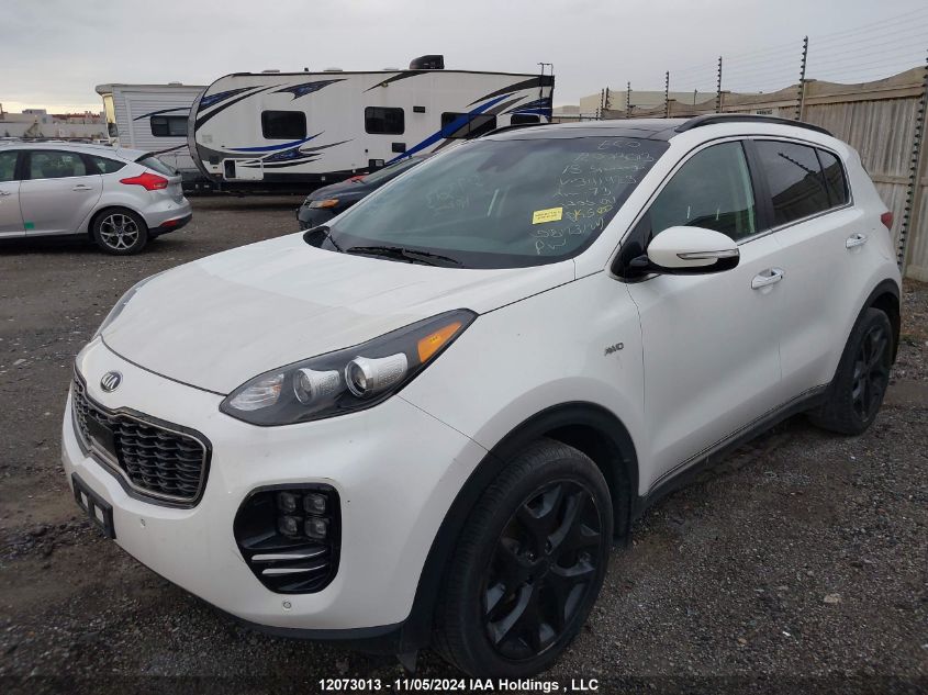 2018 Kia Sportage VIN: KNDPRCA68J7341423 Lot: 12073013