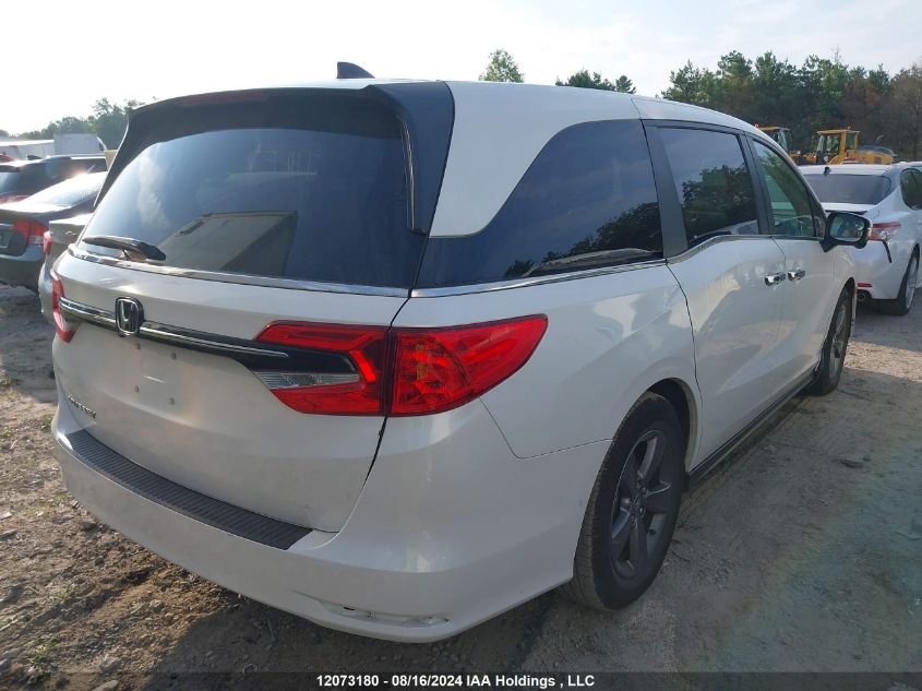 2022 Honda Odyssey VIN: 5FNRL6H45NB502858 Lot: 12073180