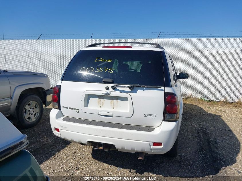 2006 Chevrolet Trailblazer Lt VIN: 1GNDT13S062195176 Lot: 12073575