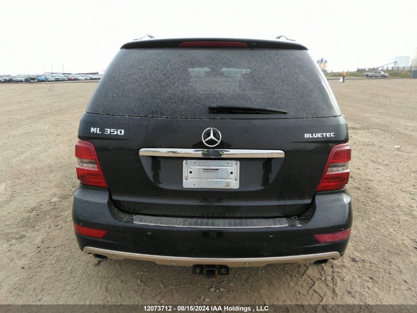 2011 Mercedes-Benz Ml-Class VIN: 4JGBB2FB6BA707457 Lot: 12073712