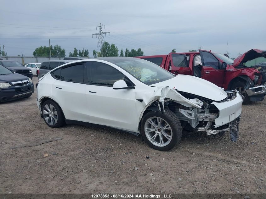 2021 Tesla Model Y VIN: 5YJYGDEE9MF254002 Lot: 12073853