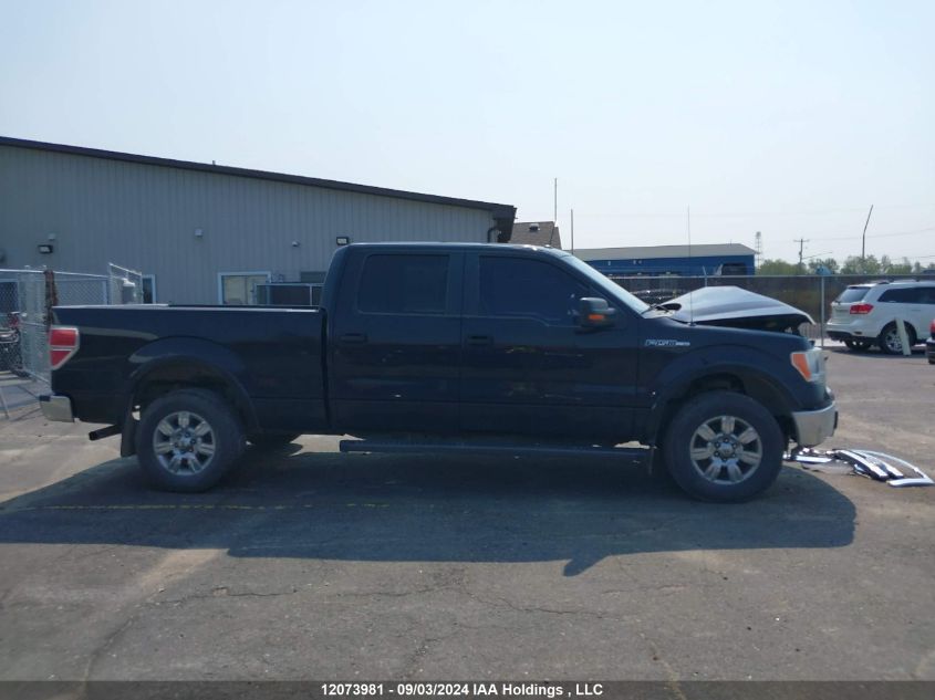 2013 Ford F-150 VIN: 1FTFW1EF3DFA25487 Lot: 12073981