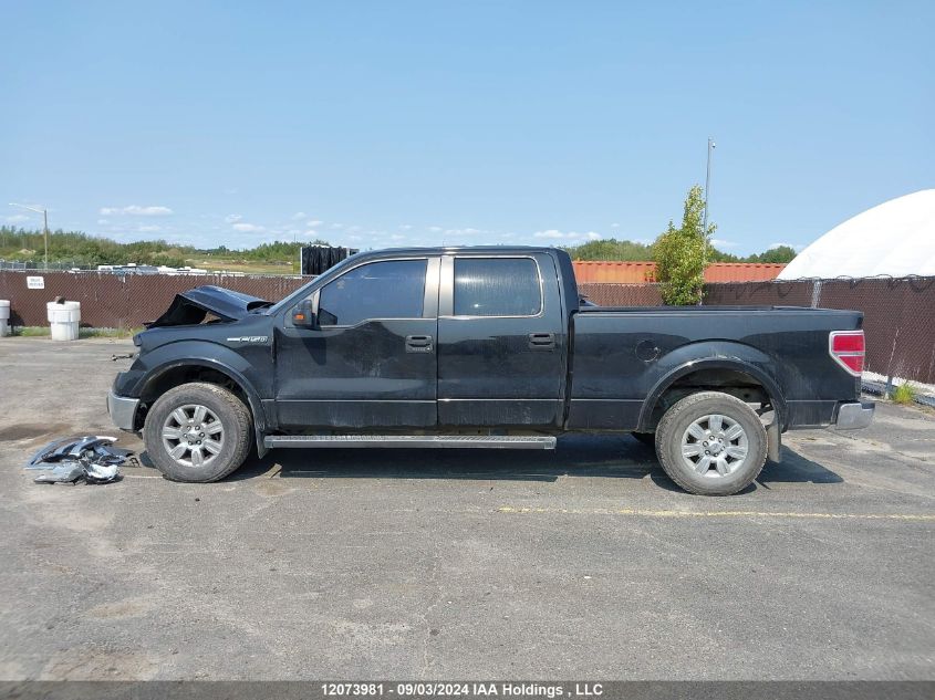 2013 Ford F-150 VIN: 1FTFW1EF3DFA25487 Lot: 12073981