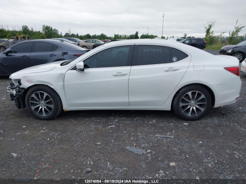 2015 Acura Tlx Tech VIN: 19UUB1F5XFA800846 Lot: 12074054