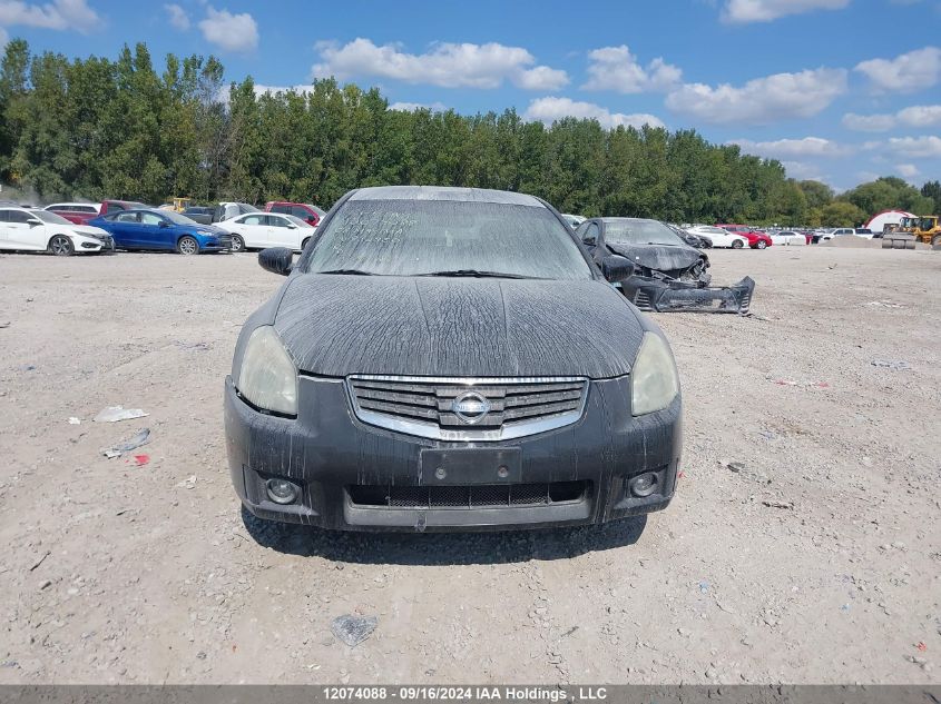 2008 Nissan Maxima Se/Sl VIN: 1N4BA41E28C832950 Lot: 12074088