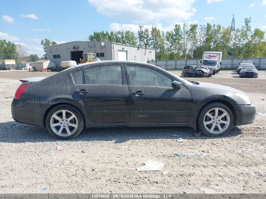 2008 Nissan Maxima Se/Sl VIN: 1N4BA41E28C832950 Lot: 12074088