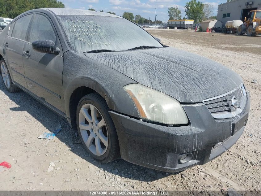 2008 Nissan Maxima Se/Sl VIN: 1N4BA41E28C832950 Lot: 12074088