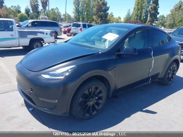 2023 Tesla Model Y VIN: 7SAYGDEE5PF612770 Lot: 12074183