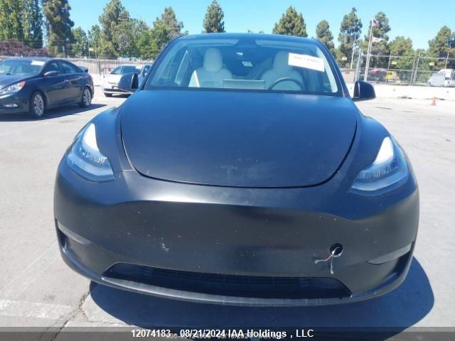 2023 Tesla Model Y VIN: 7SAYGDEE5PF612770 Lot: 12074183