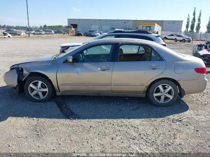 2005 Honda Accord Ex VIN: 1HGCM56625A805379 Lot: 12074288