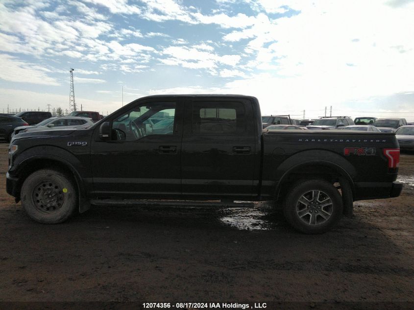 2015 Ford F150 Supercrew VIN: 1FTEW1EP3FFB85375 Lot: 12074356