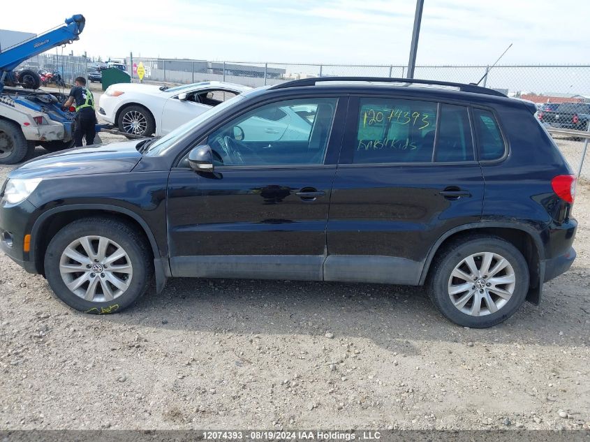 2009 Volkswagen Tiguan VIN: WVGBV75N49W511787 Lot: 12074393