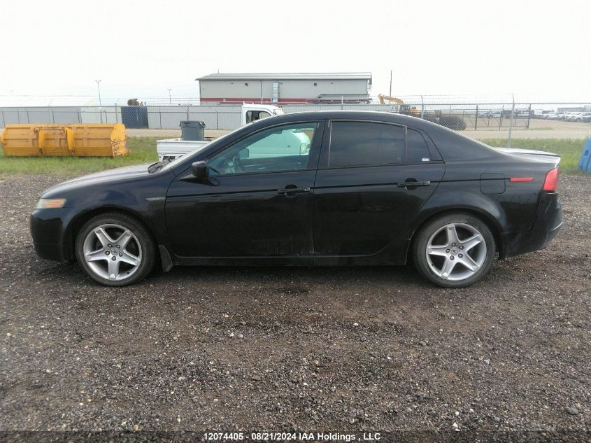 2004 Acura Tl VIN: 19UUA66274A802802 Lot: 12074405