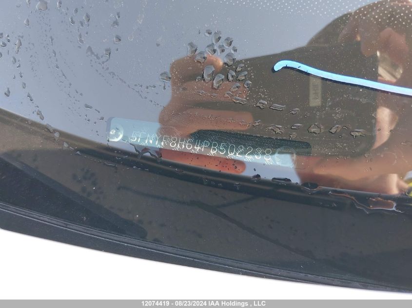 2023 Honda Passport Trail Sport VIN: 5FNYF8H64PB502238 Lot: 12074419