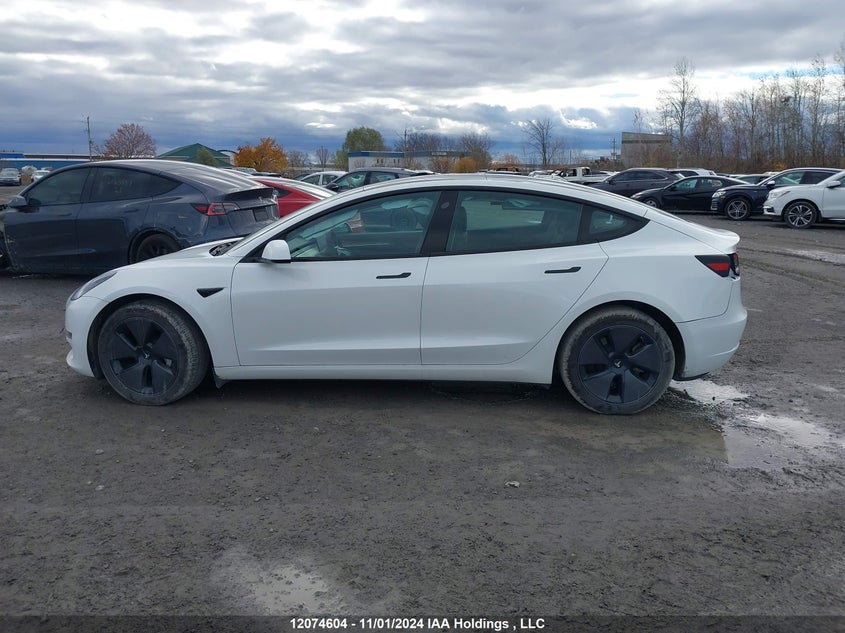 2023 Tesla Model 3 VIN: LRW3E1EB2PC872040 Lot: 12074604
