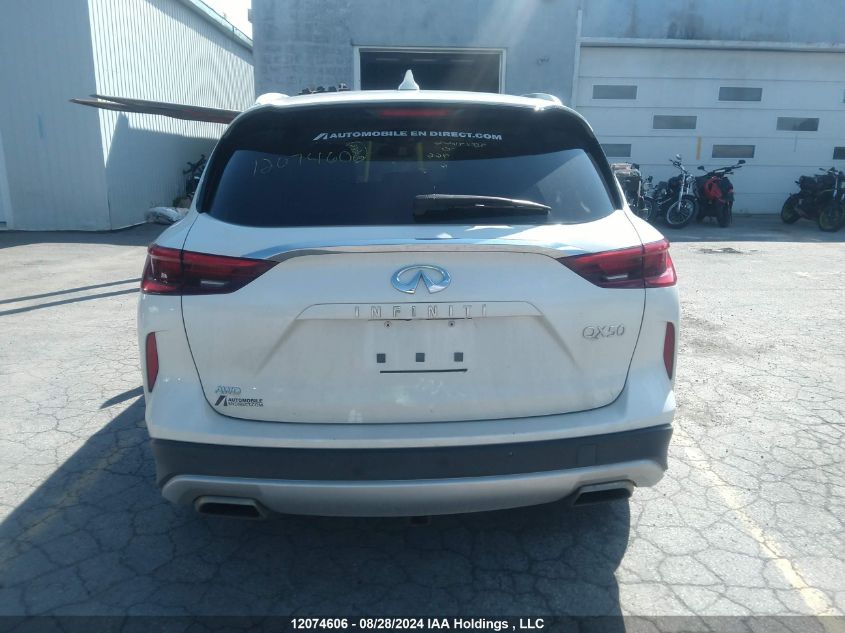 2019 Infiniti Qx50 VIN: 3PCAJ5M34KF115966 Lot: 12074606