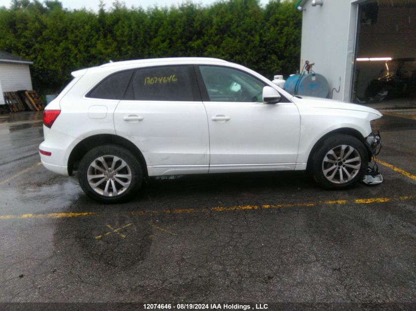 2014 Audi Q5 VIN: WA1LFCFP7EA069295 Lot: 12074646