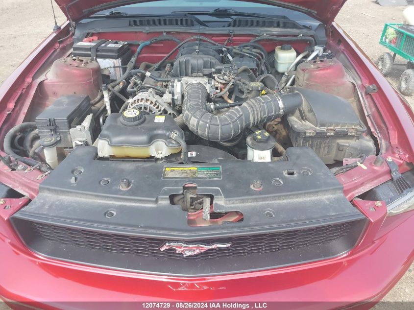 2007 Ford Mustang VIN: 1ZVFT84N175359339 Lot: 12074729