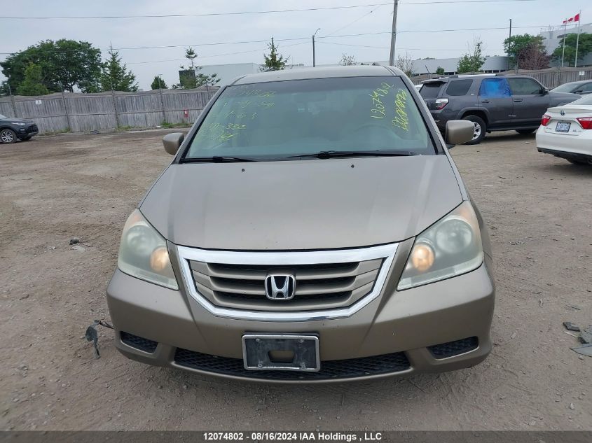 2009 Honda Odyssey VIN: 5FNRL38419B504563 Lot: 12074802