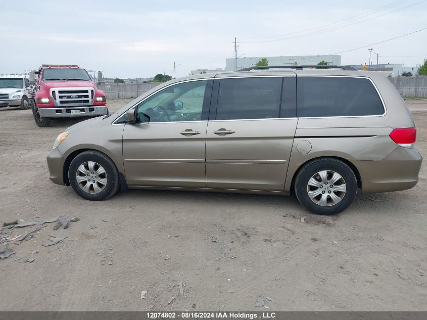 2009 Honda Odyssey VIN: 5FNRL38419B504563 Lot: 12074802