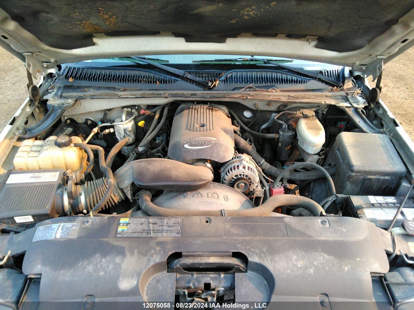 2003 Chevrolet Silverado 1500 VIN: 1GCEK19T83Z289518 Lot: 12075058