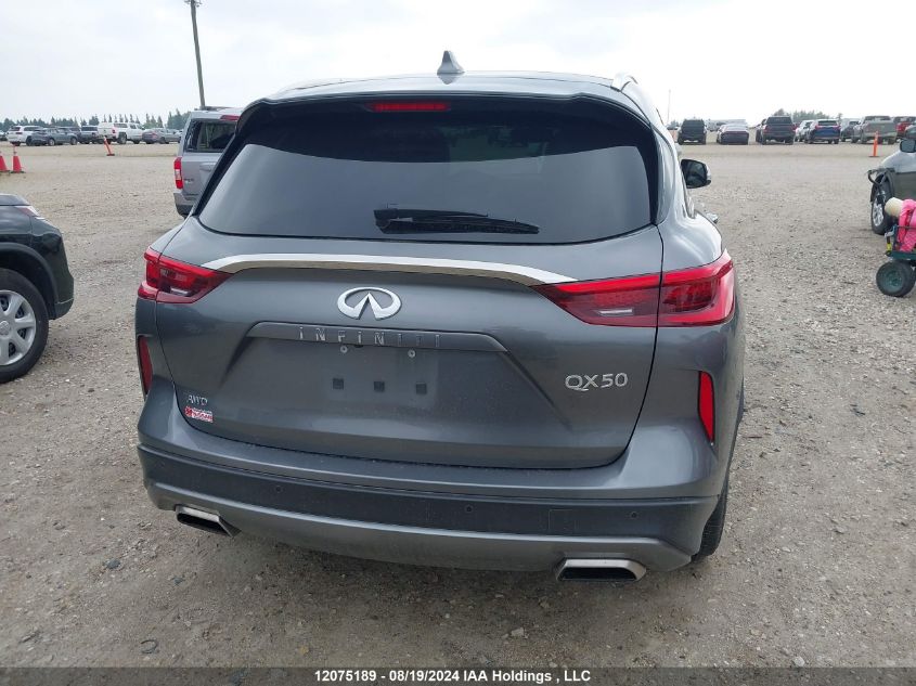 2021 Infiniti Qx50 VIN: 3PCAJ5BBXMF124958 Lot: 12075189