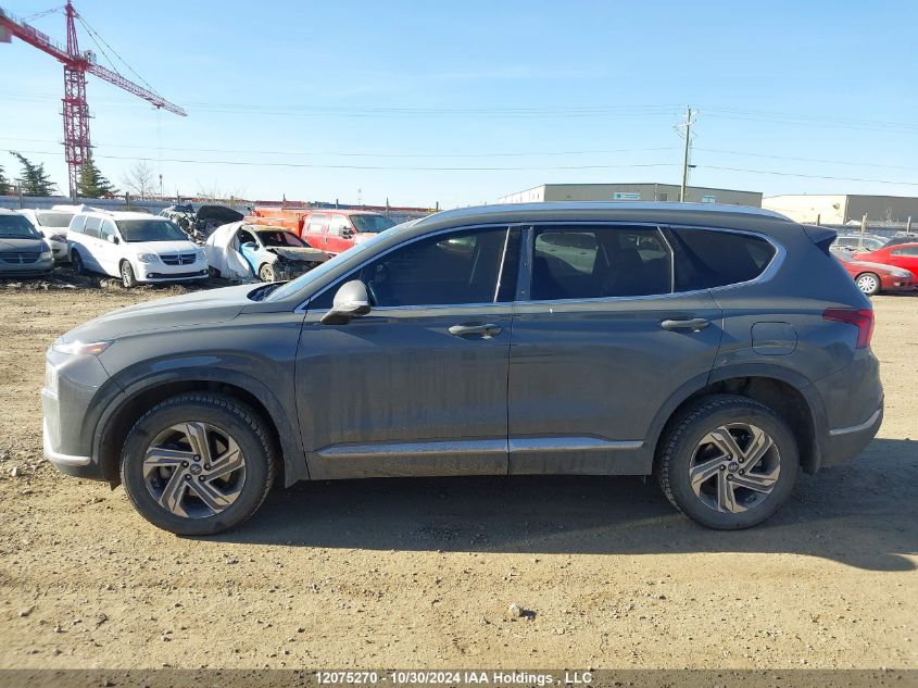 2022 Hyundai Santa Fe Sel VIN: 5NMS3DAJ8NH462702 Lot: 12075270