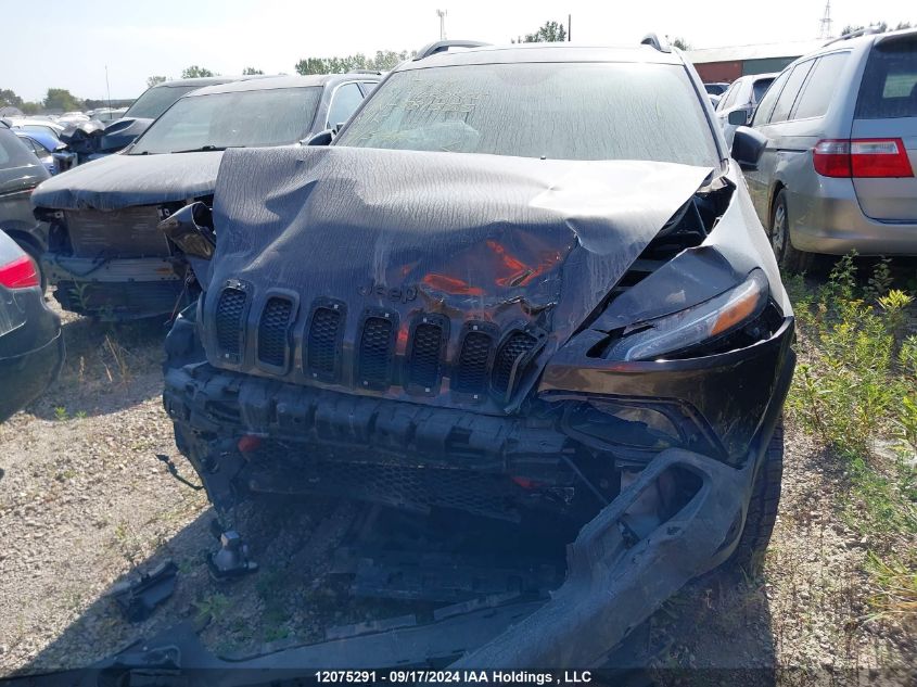 2017 Jeep Cherokee Trailhawk VIN: 1C4PJMBS7HW581555 Lot: 12075291