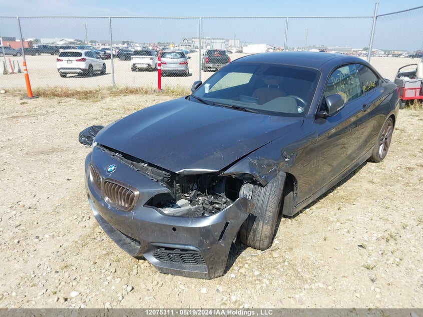 2018 BMW 2 Series 230I xDrive VIN: WBA2J3C51JVA49792 Lot: 12075311