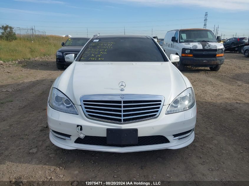 2010 Mercedes-Benz S-Class VIN: WDDNG8GB0AA302817 Lot: 12075471