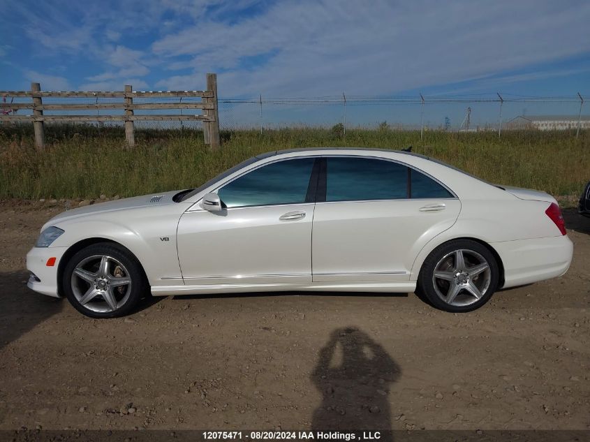 2010 Mercedes-Benz S-Class VIN: WDDNG8GB0AA302817 Lot: 12075471