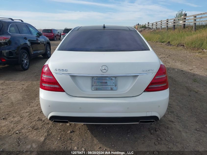 2010 Mercedes-Benz S-Class VIN: WDDNG8GB0AA302817 Lot: 12075471