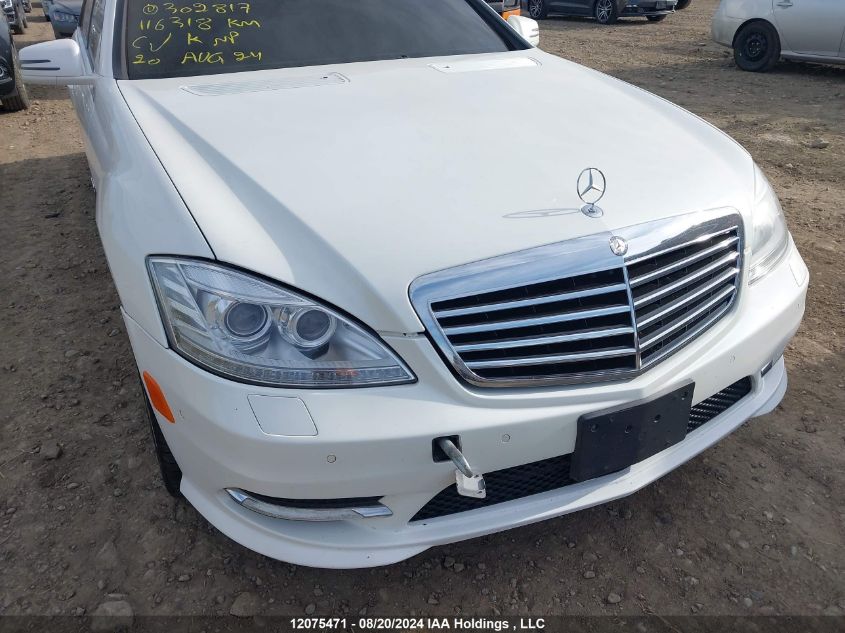 2010 Mercedes-Benz S-Class VIN: WDDNG8GB0AA302817 Lot: 12075471