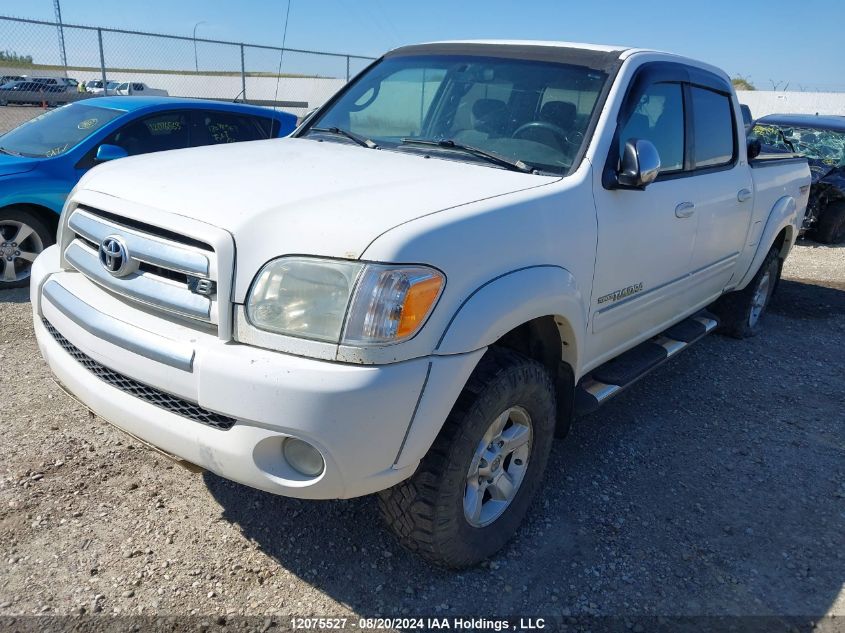 2006 Toyota Tundra Double Cab Sr5 VIN: 5TBDT44196S508811 Lot: 12075527