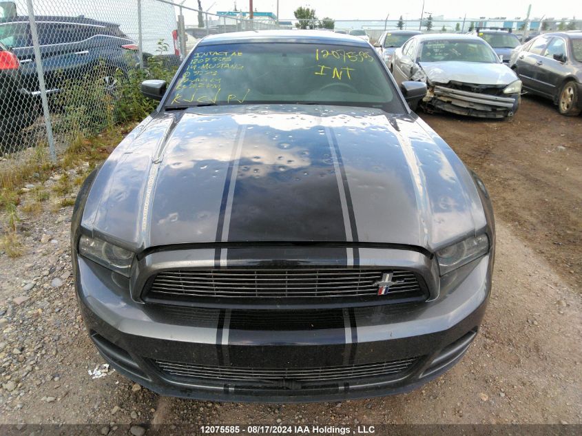 2014 Ford Mustang VIN: 1ZVBP8AM1E5312503 Lot: 12075585