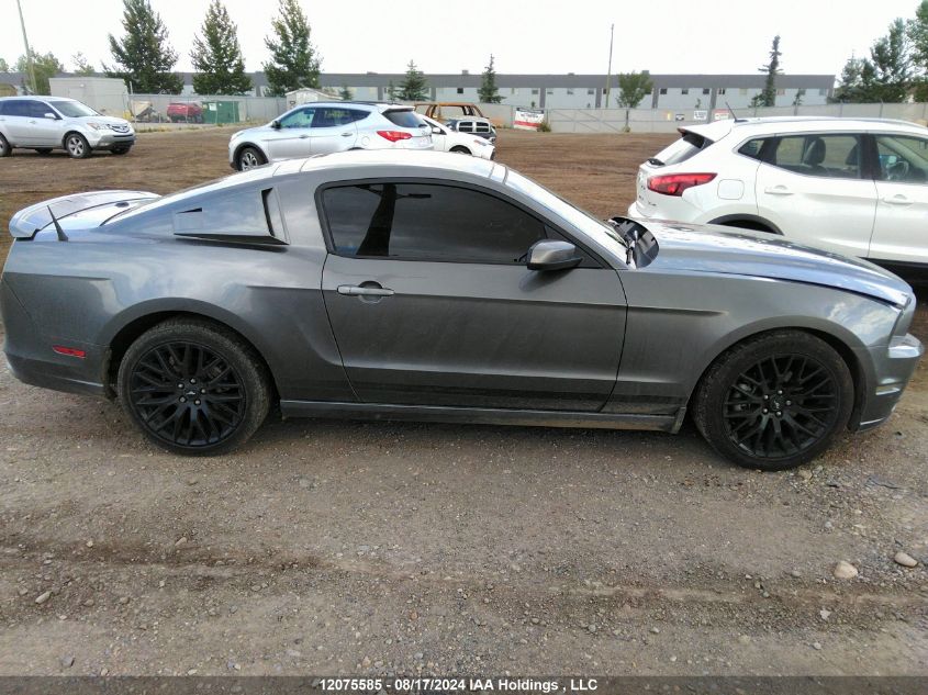 2014 Ford Mustang VIN: 1ZVBP8AM1E5312503 Lot: 12075585