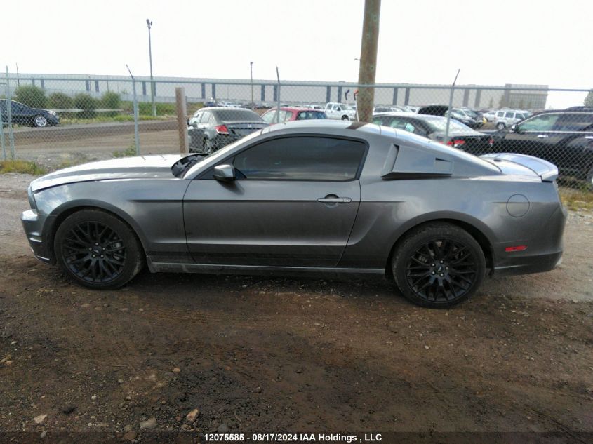 2014 Ford Mustang VIN: 1ZVBP8AM1E5312503 Lot: 12075585